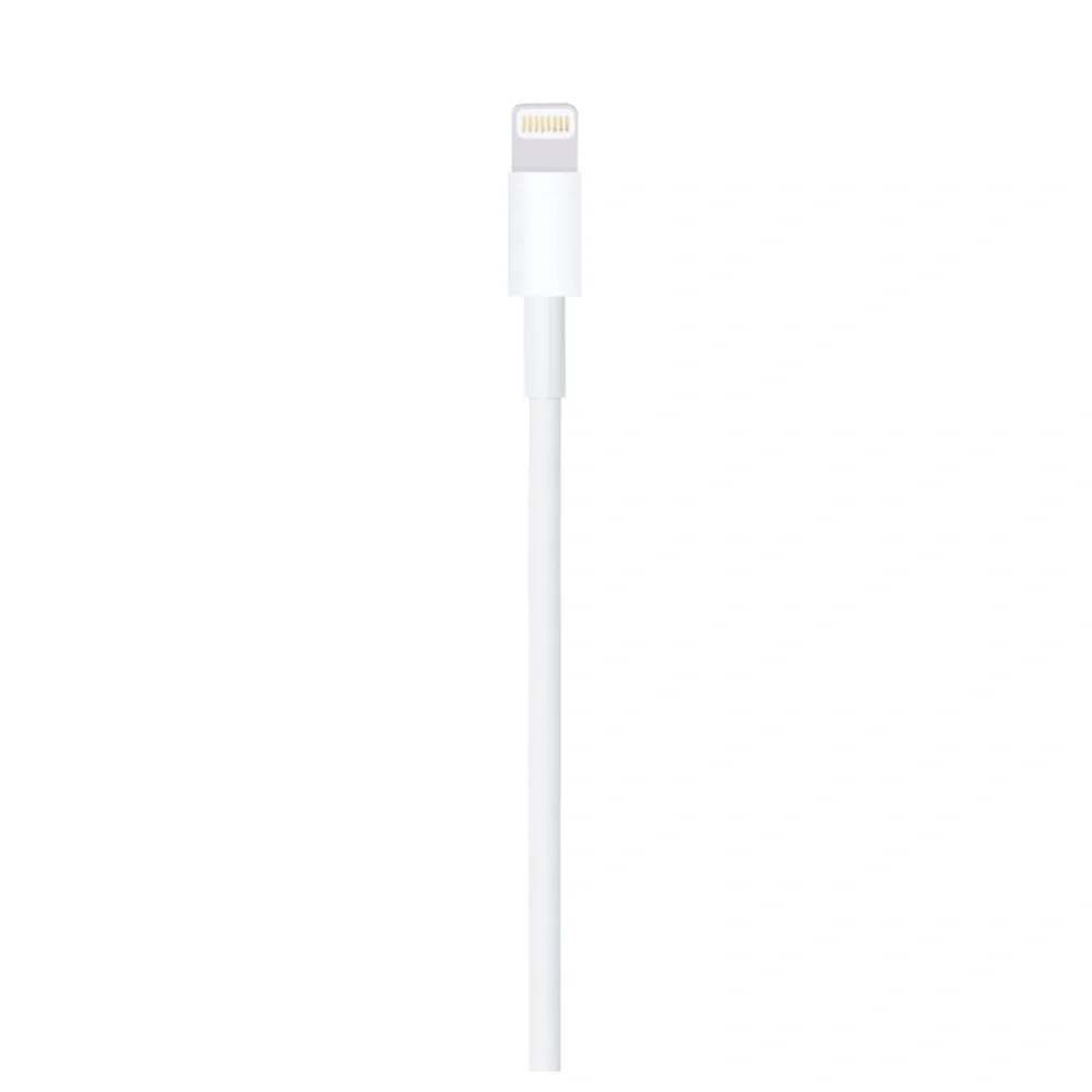 Lightning to USB Cable (1 m)